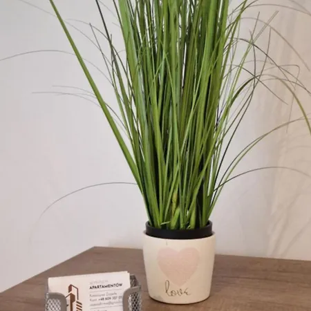 Apartament-studio Polana Szaflarska نوفه تارخ