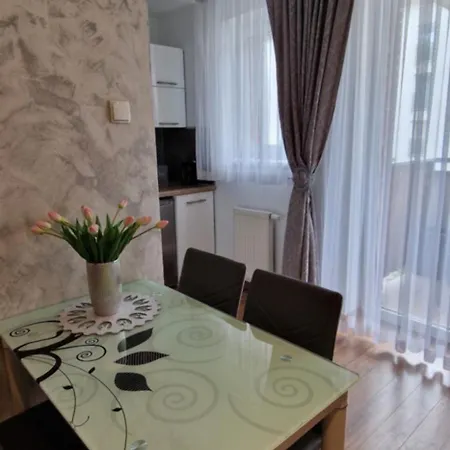 Apartament-studio Polana Szaflarska