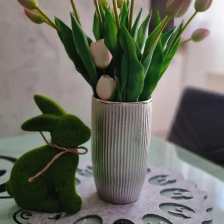 Apartmán Apartament-studio Polana Szaflarska