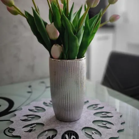 Apartament-studio Polana Szaflarska نوفه تارخ