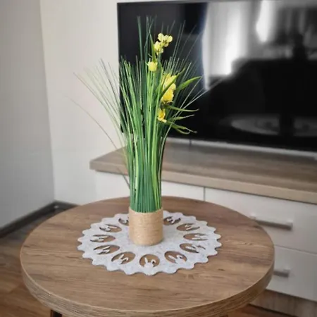 Apartament-studio Polana Szaflarska * نوفه تارخ