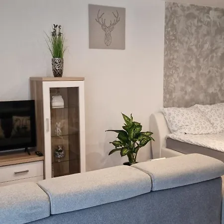 Apartament-studio Polana Szaflarska نوفه تارخ