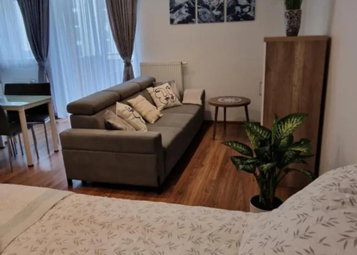 Apartament-studio Polana Szaflarska *