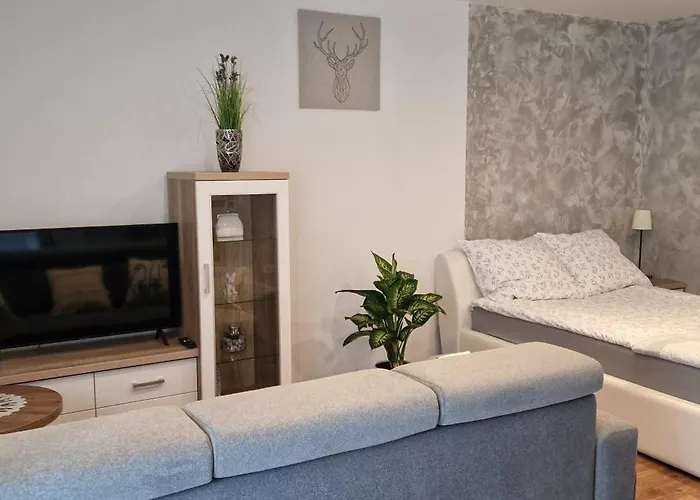 Apartament-studio Polana Szaflarska Neumarkt