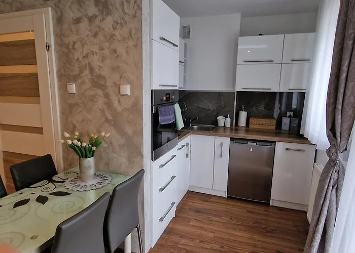 Apartament-studio Polana Szaflarska Apartment *